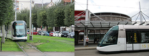 �X�g���X�u�[���sLRT